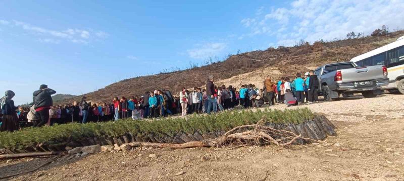 Öğrenciler, orman yangınında zarar gören alana fidan dikti