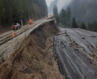 Adana’da fırtına ağaçları yerinden söktü
