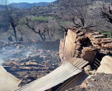 Yanan evden parasını kurtarmak isterken ağır yaralandı
